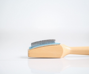 Shoe Brush (2)